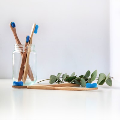 Bamboo Toothbrush Pack (Biodegradable)